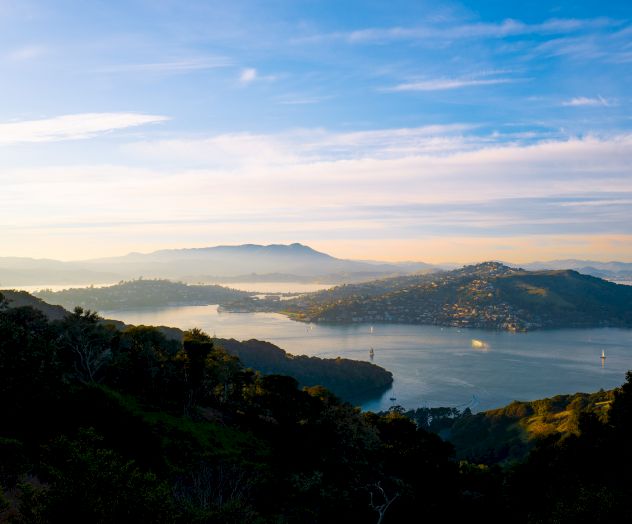 The Lodge at Tiburon