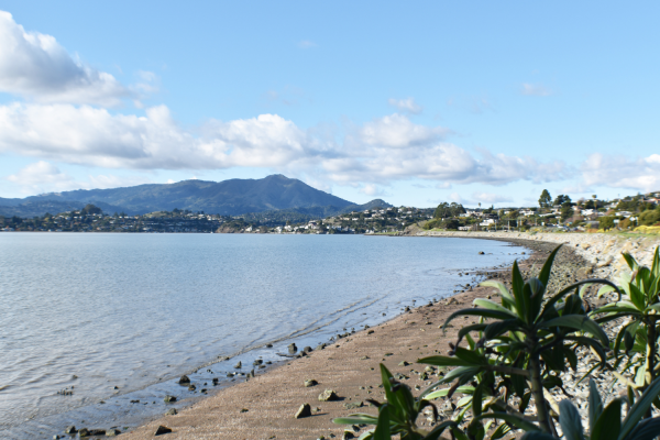The Lodge at Tiburon