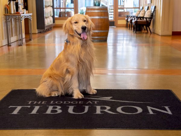 The Lodge at Tiburon