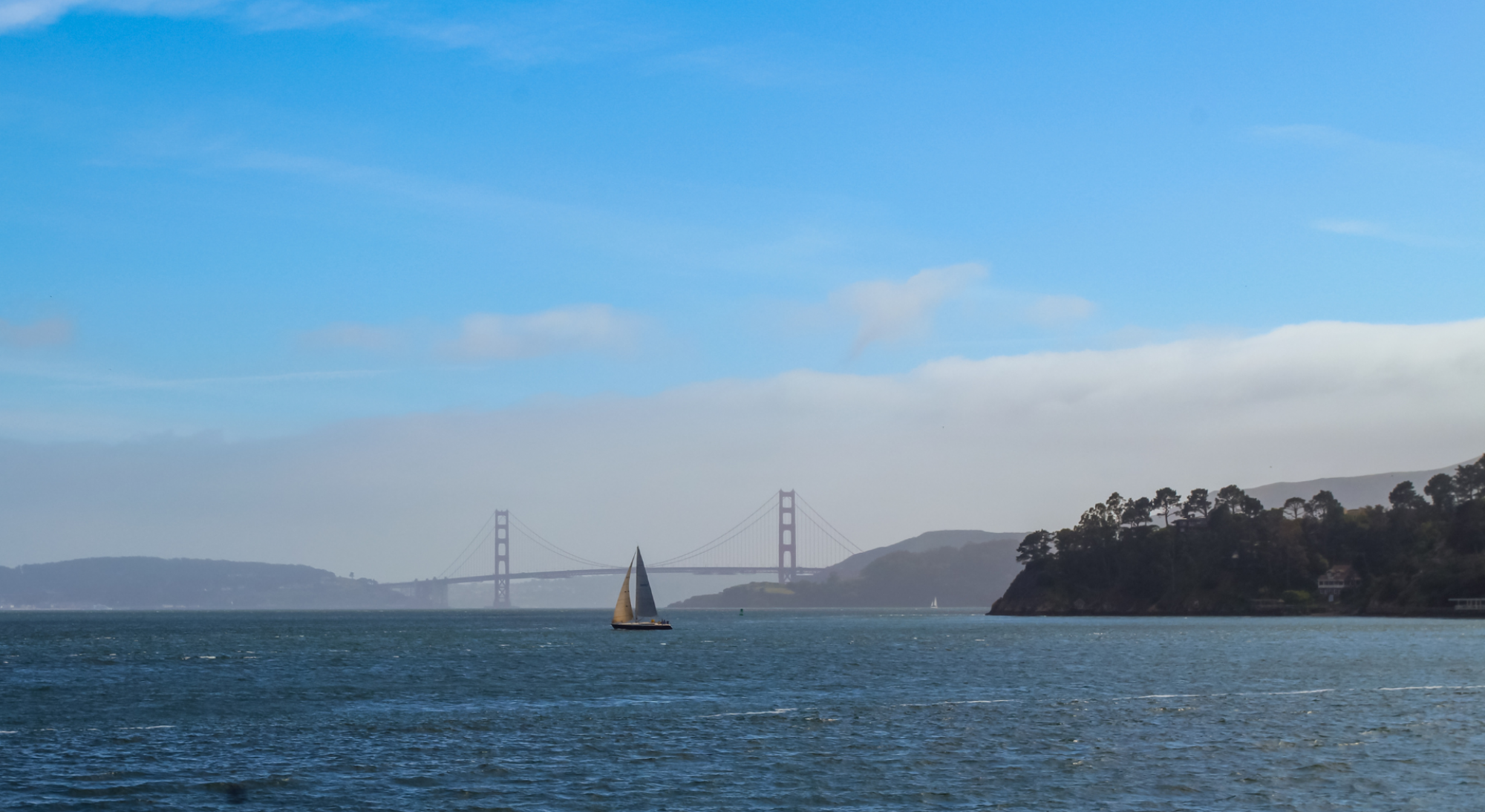 The Lodge at Tiburon